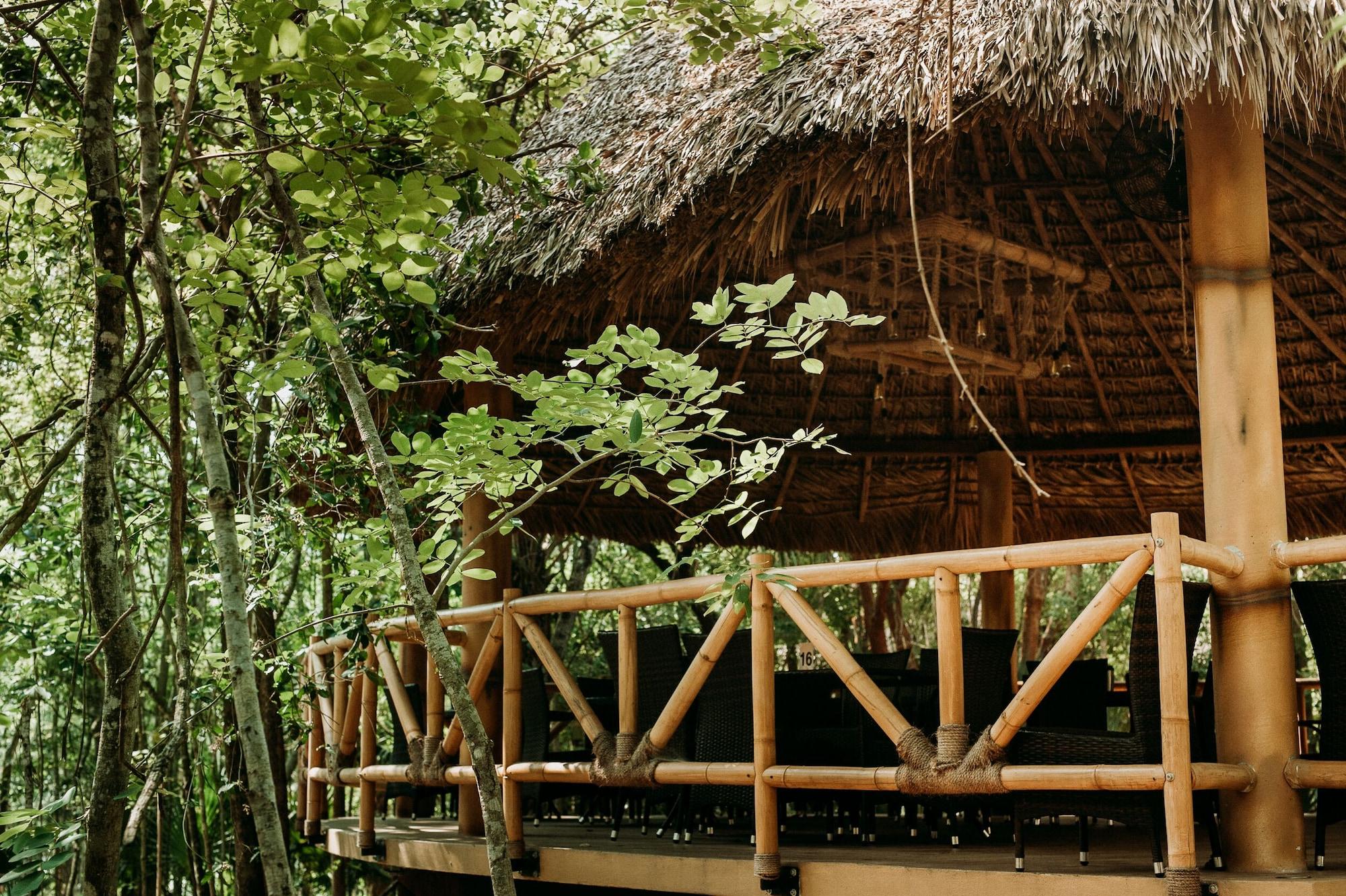 Comodidades del Alojamiento Selva Teenek