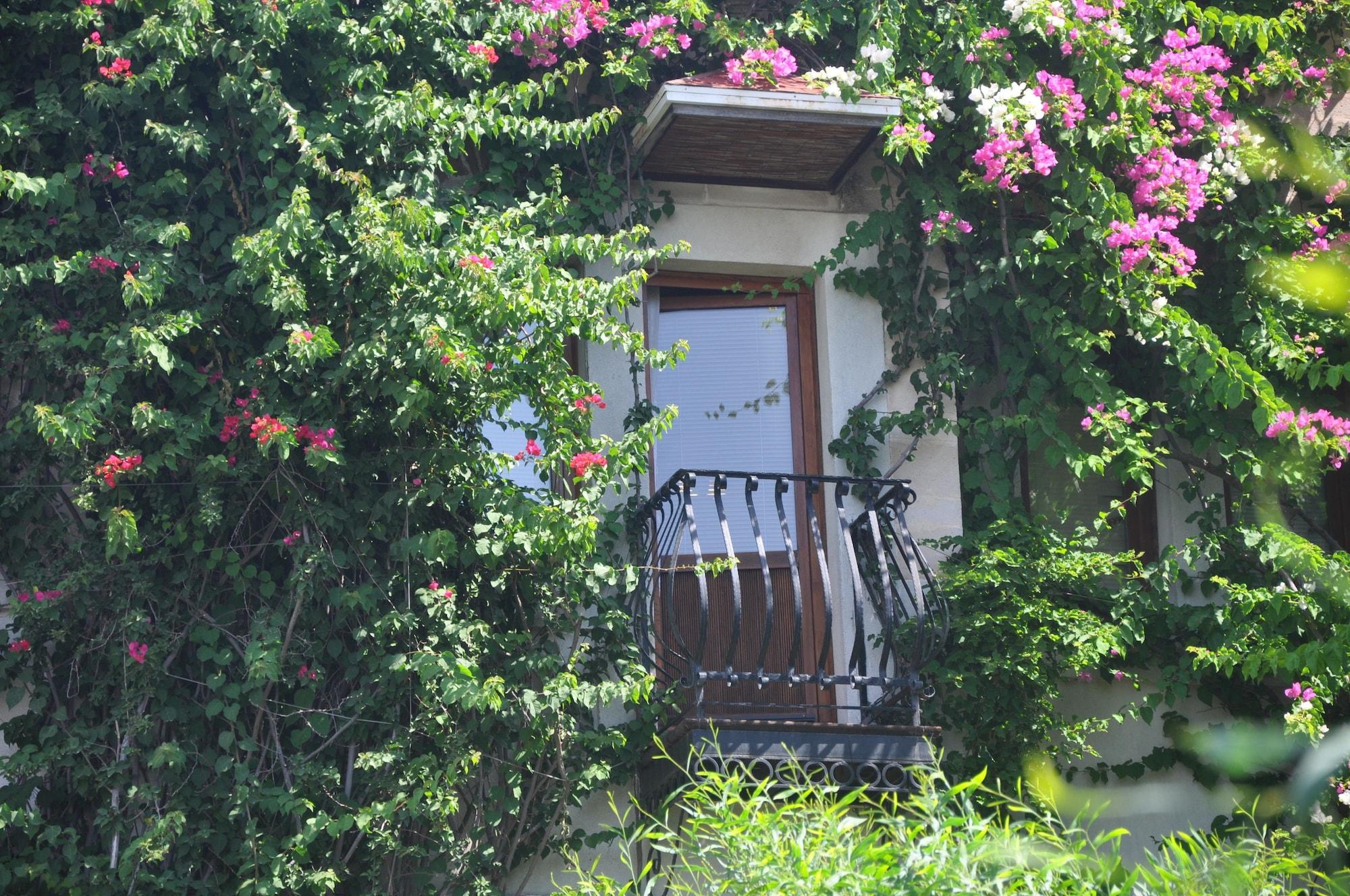 Vista Exterior El Vino Hotel Suites - Special Class