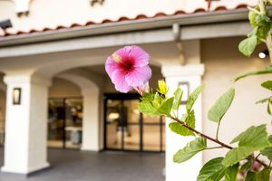 Alojamiento - Quality Inn & Suites By the Parks
