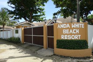 Alojamiento - Anda White Beach Resort