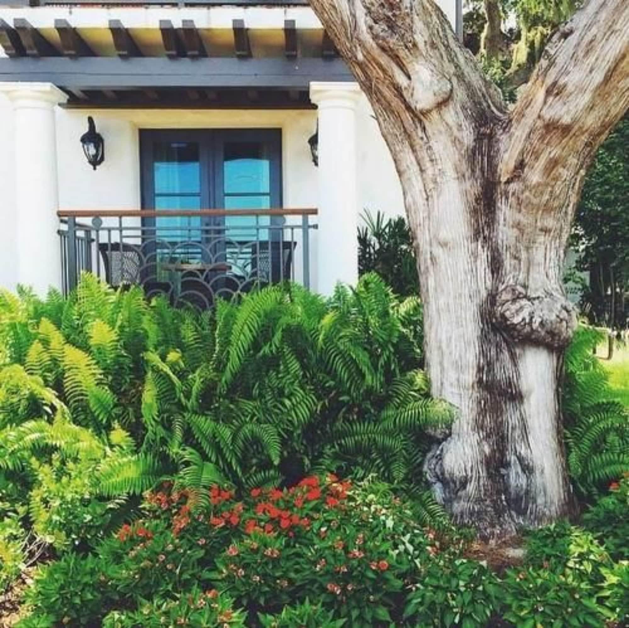 Vista Exterior Black Dolphin Inn