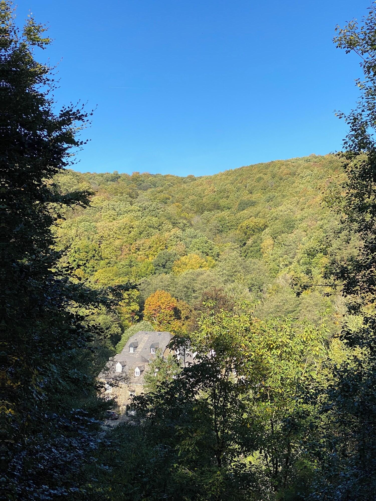 Vista Exterior Moulin de Daverdisse