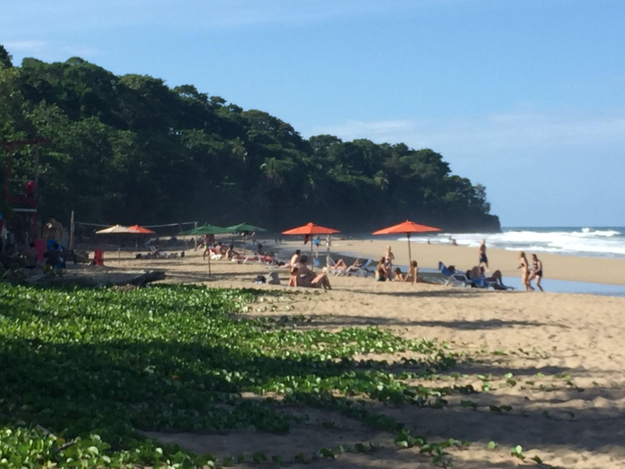 Playa Sonora Caribbean Jungle Retreat
