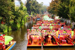Actividad - Xochimilco - Ciudad universitaria - Coyoacán