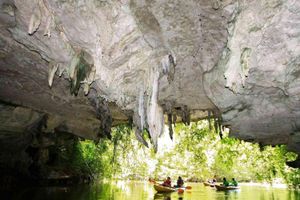 Actividad - Kayak en el bosque para Thor