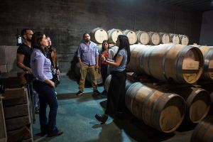 Actividad - Tour por la Bodega Pizzorno