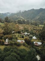Alojamiento - Lumbre Forest Lodge