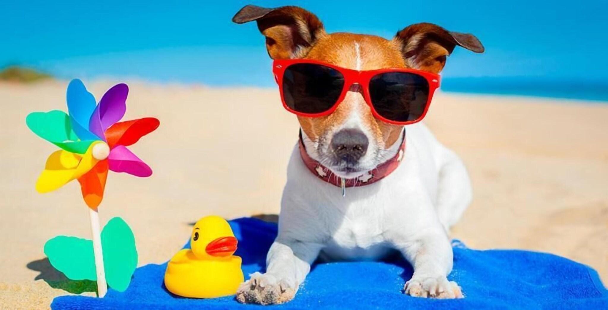 Instalaciones Recreativas Pacific Paradise Motel