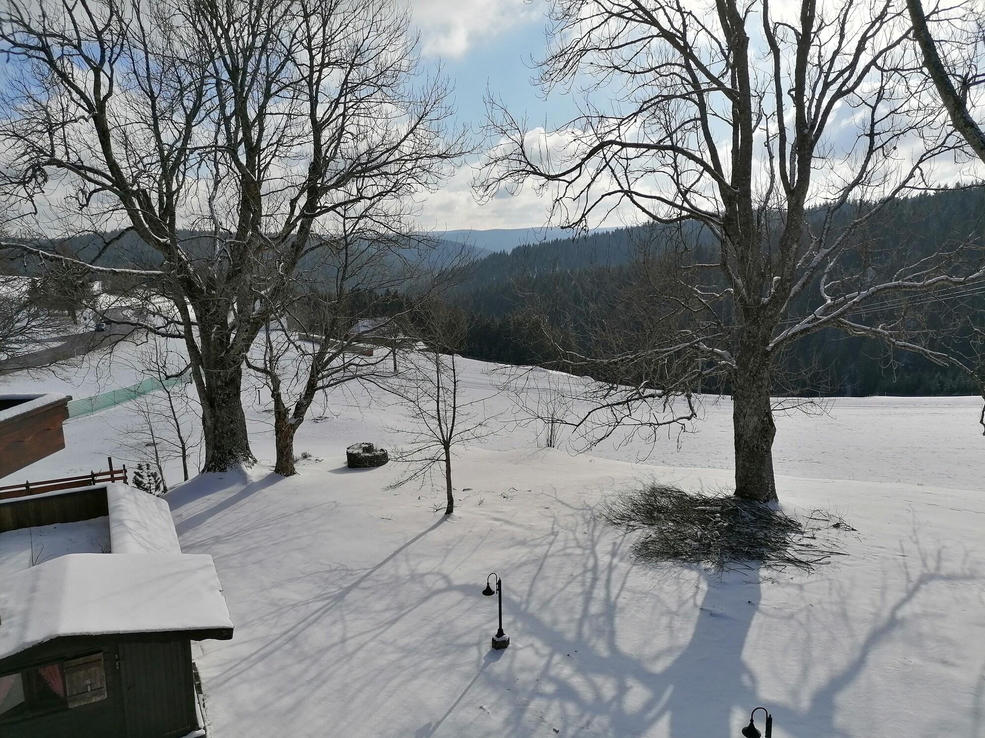 Varios Gasthof Kreuz am Escheck