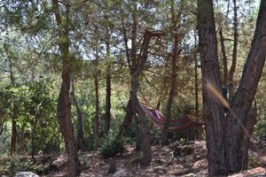 Alojamiento - Graneroverde Resort