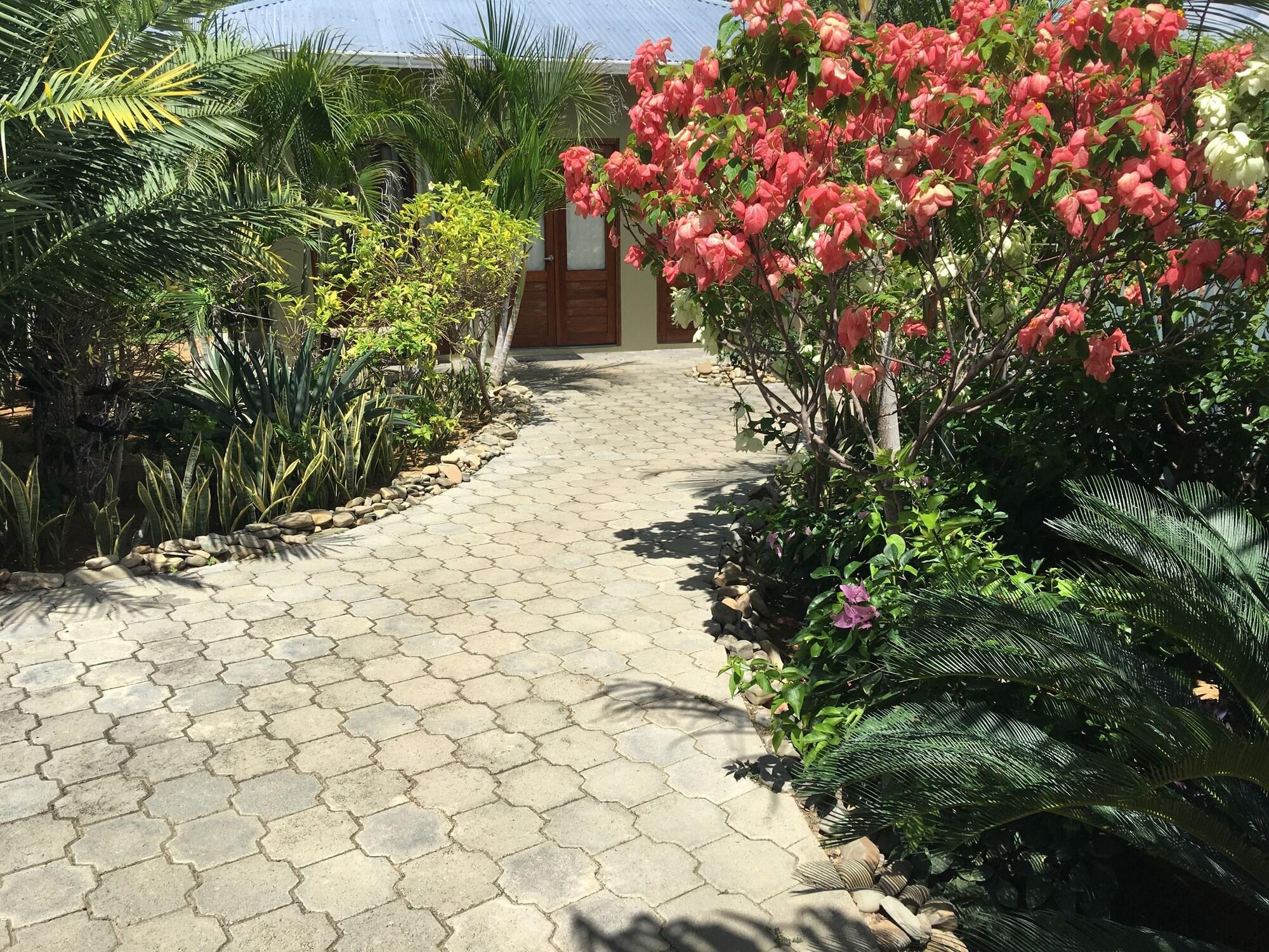 Vista Exterior Soma Surf Resort