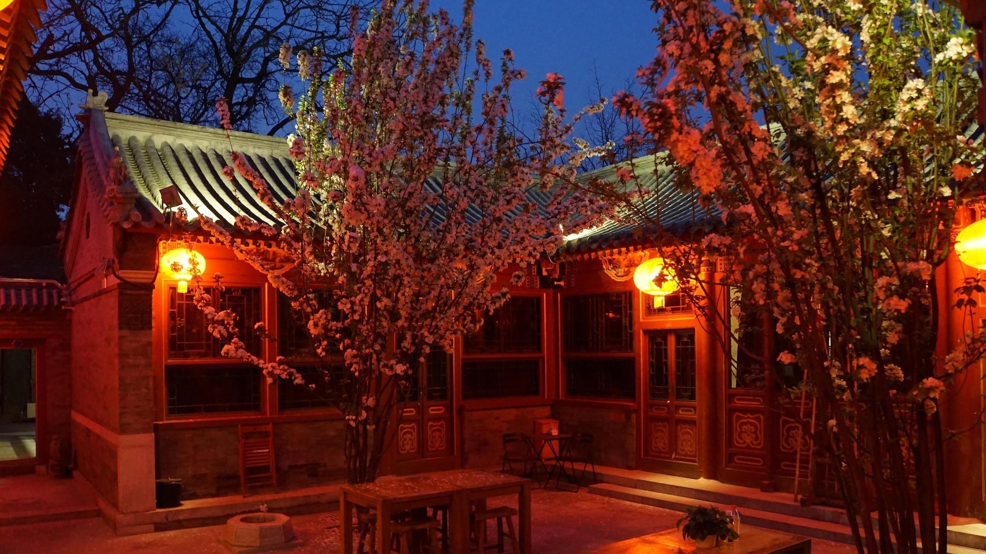 Varios Fly By Knight Courtyard Hotel