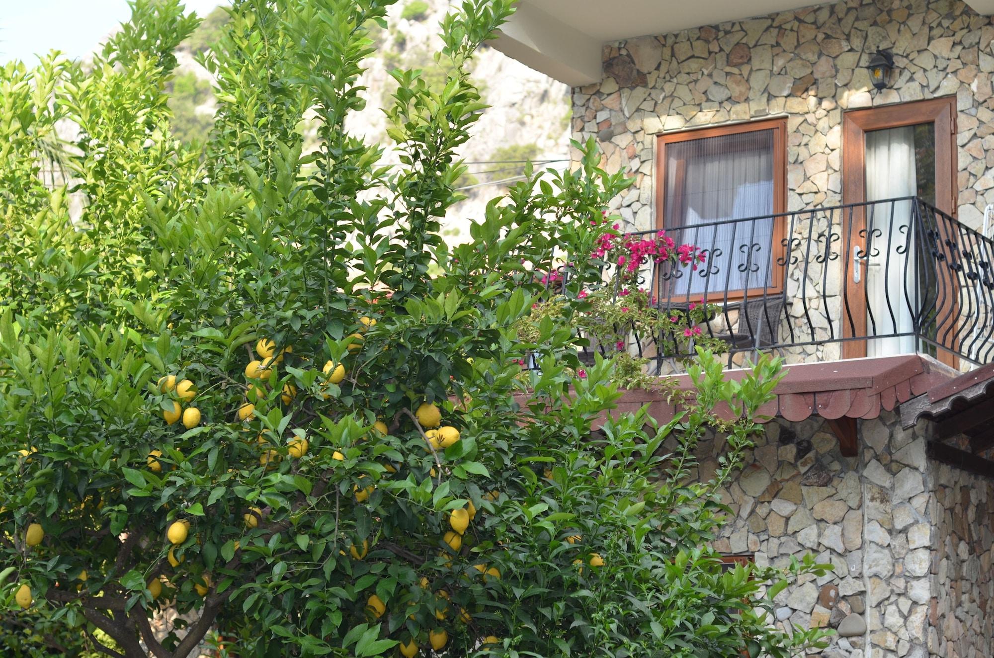 Vista Exterior Hotel Villa Monte