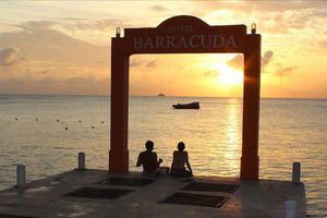 Alojamiento - Hotel Barracuda Cozumel