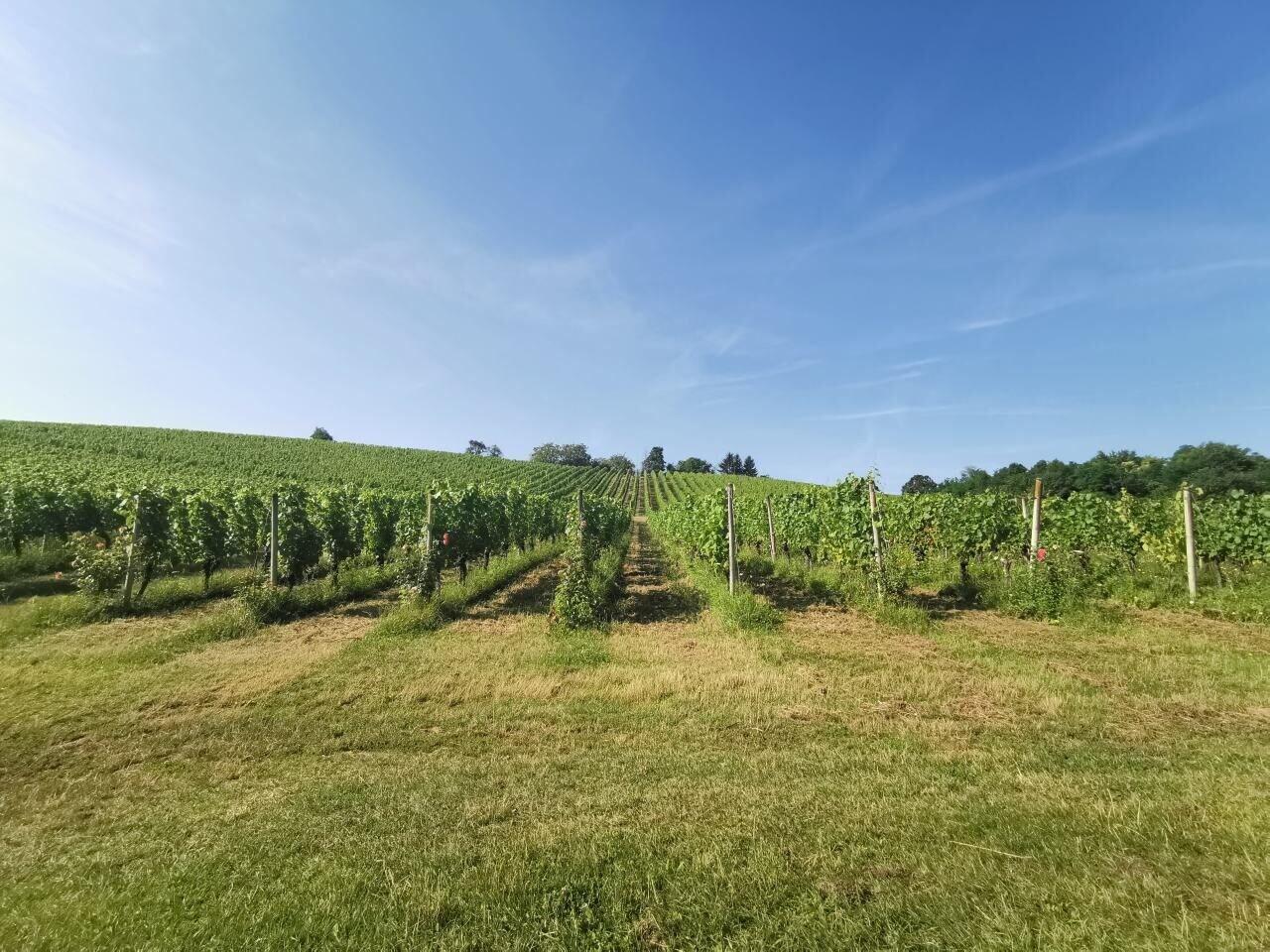 Instalaciones Recreativas Stupnički Dvori