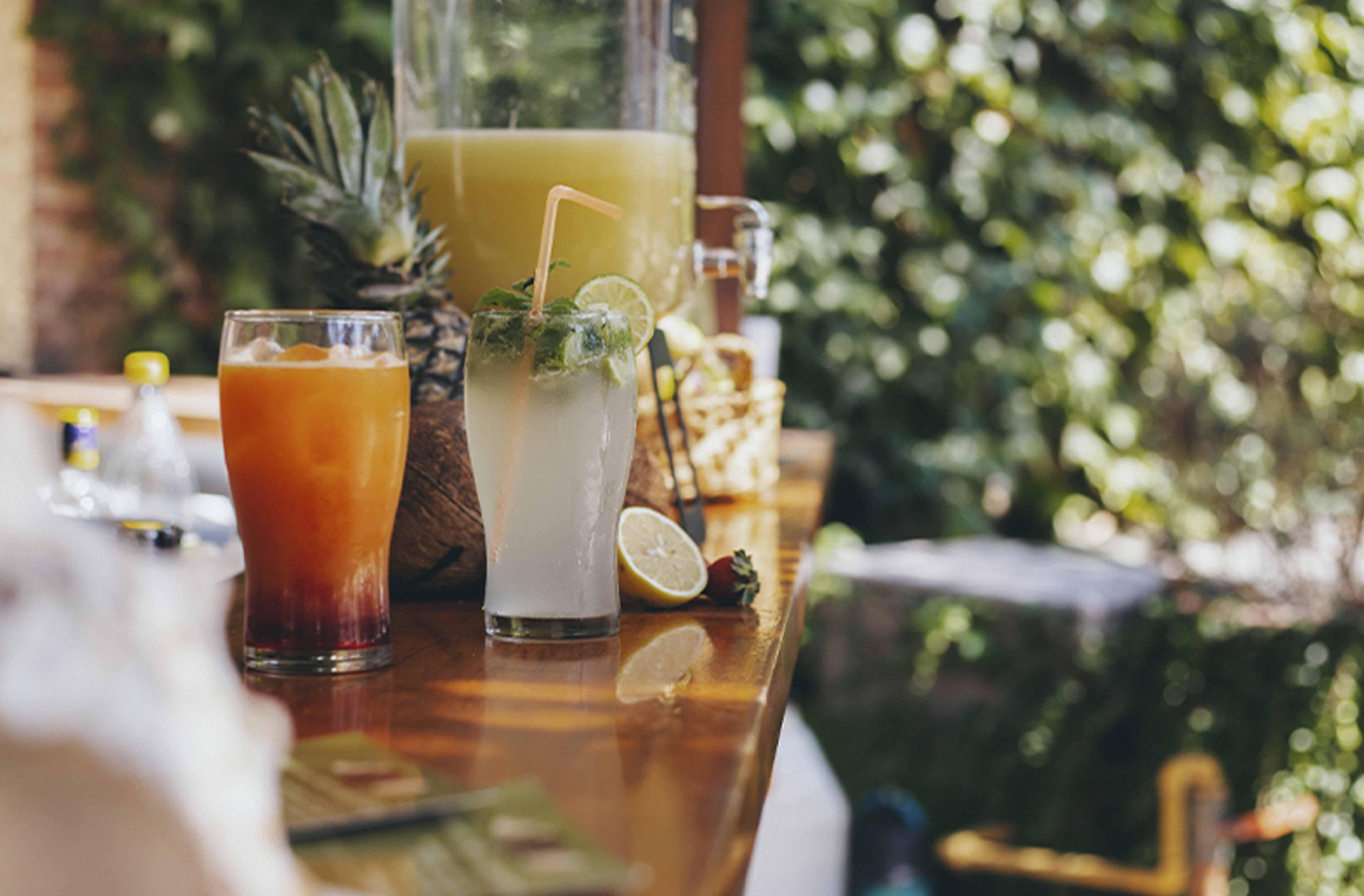 Bar/Salón Posada Suiza by Prima Collection