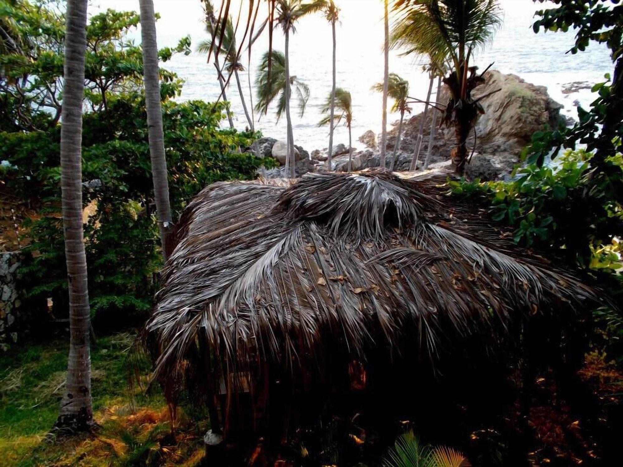 Vista Exterior Cocos Camp