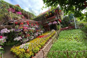 Alojamiento - Khamy Riverside Resort