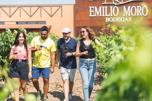 Actividad - Desde Leon: Secretos del Bierzo, Visita a Bodega y degustacion de vino en el Bierzo con flexibilidad de fechas