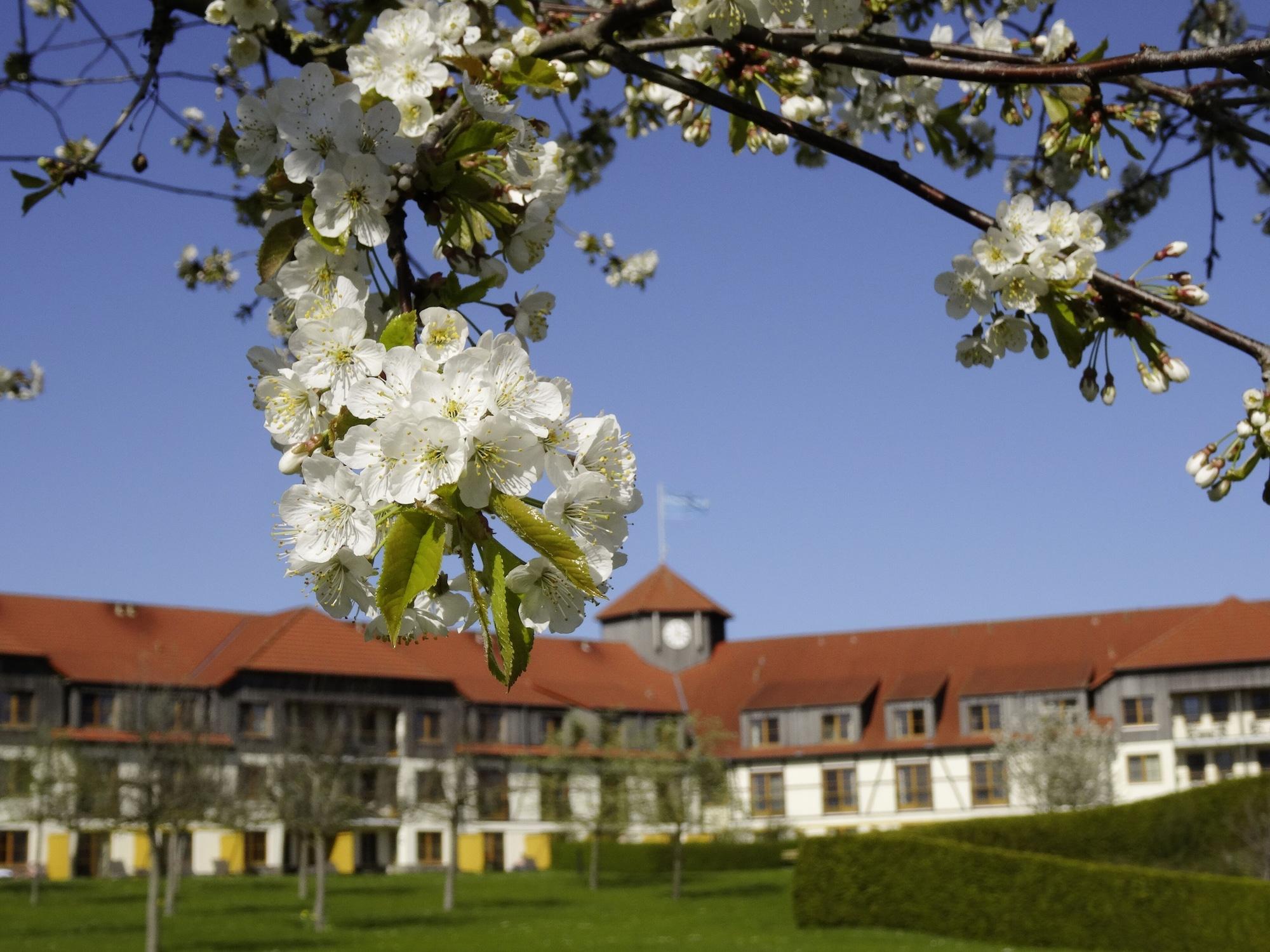 Vista Exterior ROBINSON FLEESENSEE