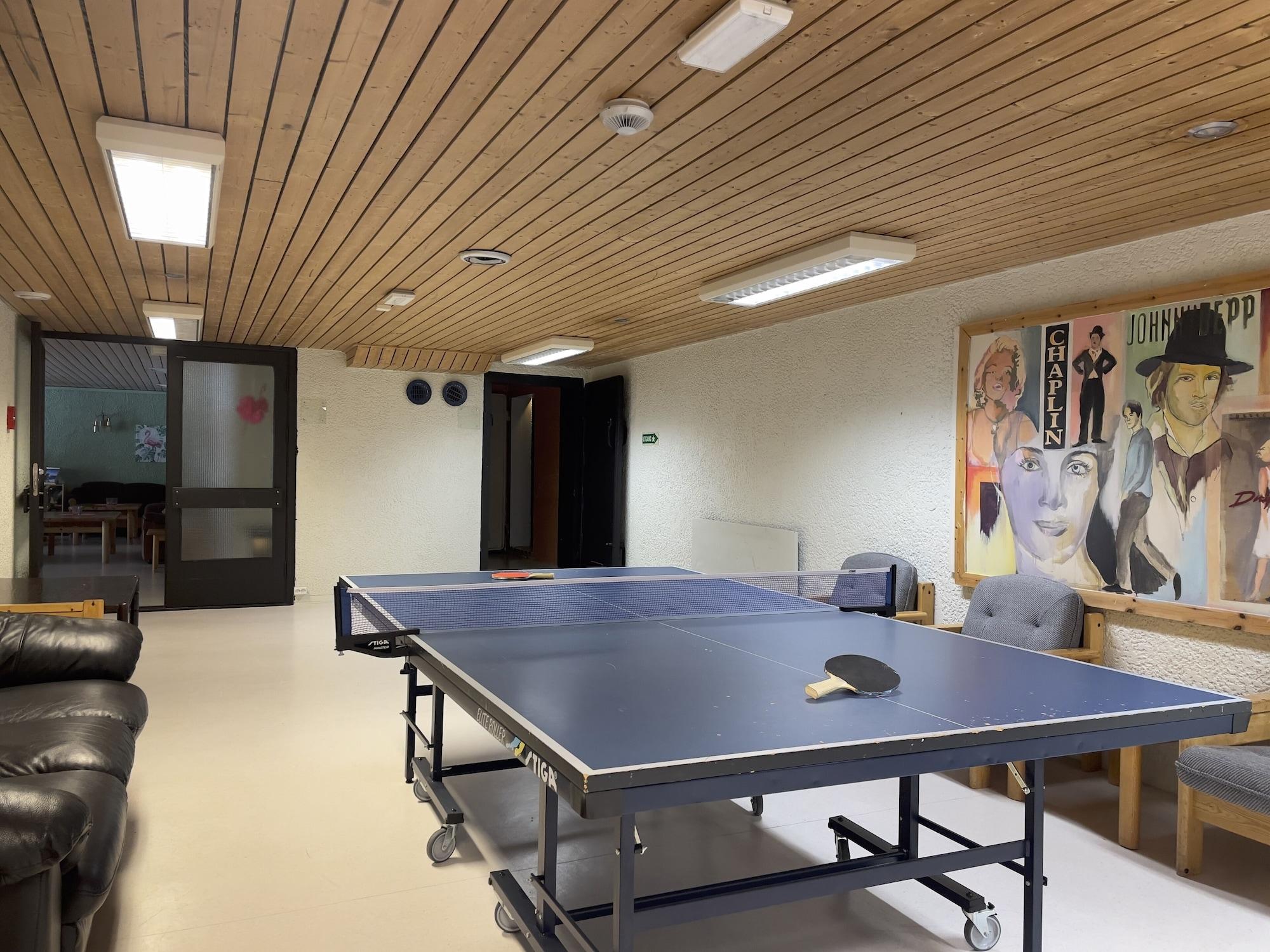 Instalaciones Recreativas BORG Sommerhotell