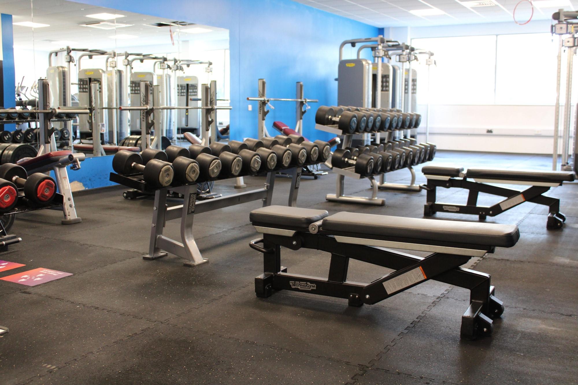 Gimnasio University of Essex -  Colchester Campus