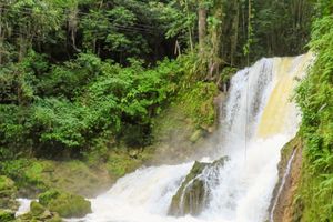 Actividad - Excursión a Río Negro y Cataratas YS