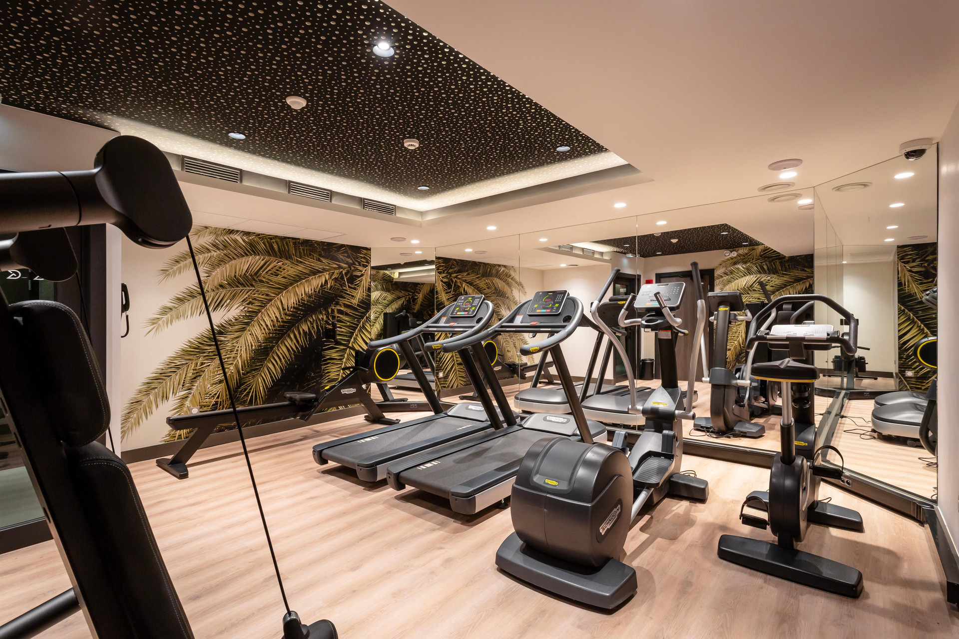 Gimnasio voco Strasbourg Centre The Garden by IHG
