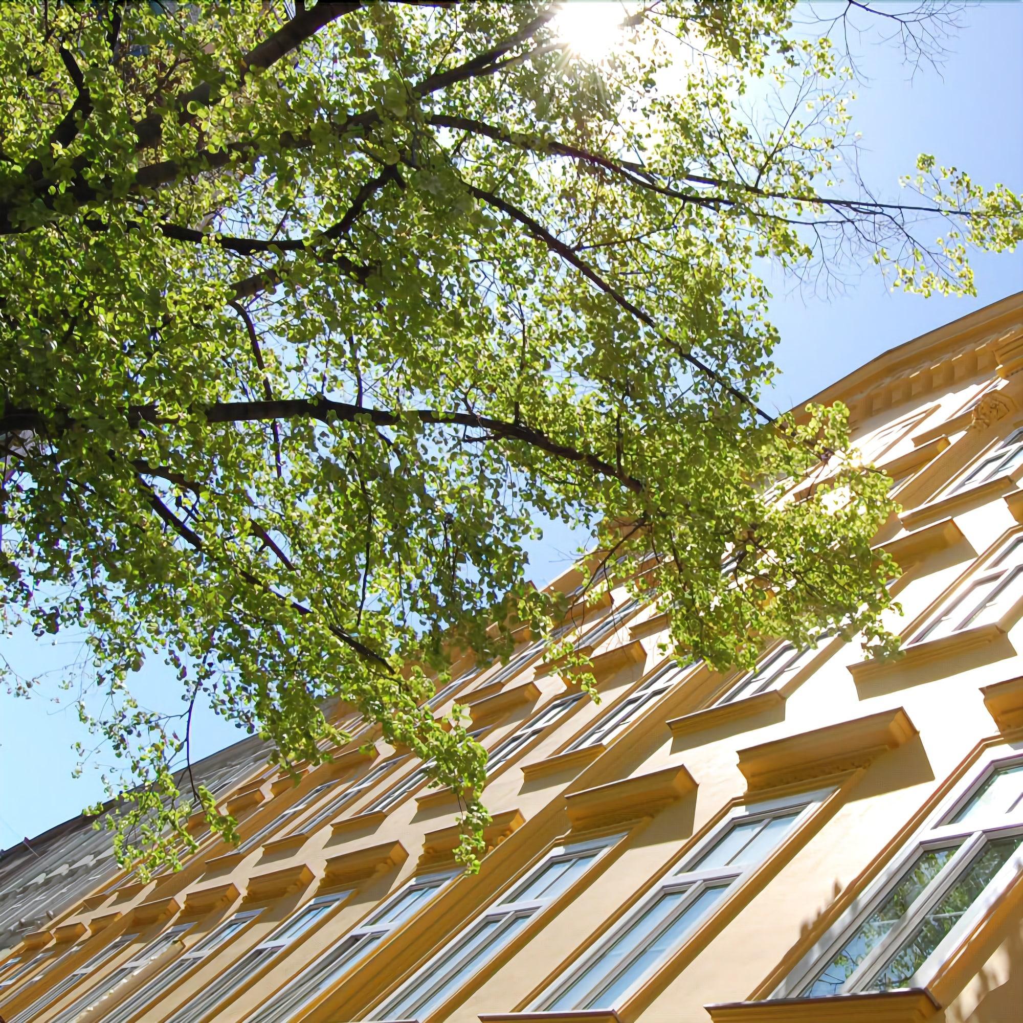 Vista Exterior Saint Shermin