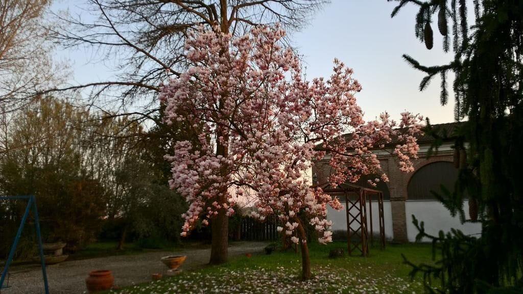Varios Agriturismo Cipolli e Podò Corte Carlini