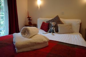Alquiler Vacacional - Clematis Cottage, Country Setting, 10 min walk to beach, Family Friendly.