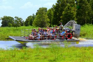 Actividad - Paseo en aerobote y transporte en Wild Florida