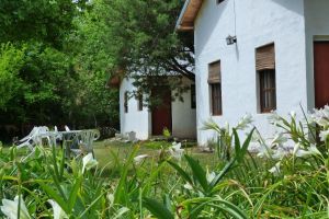 Alquiler Temporario - Cabañas Finca Don José