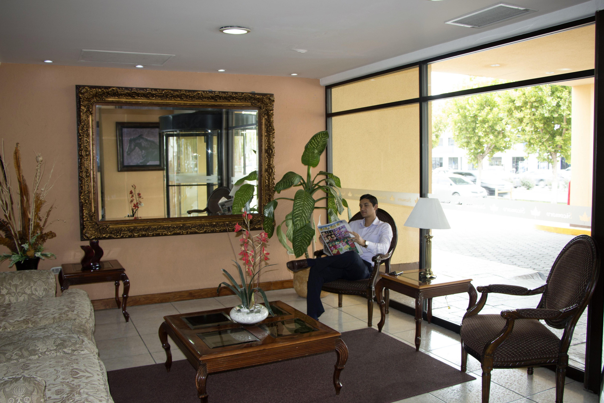 Vista Lobby Hotel Sicomoro