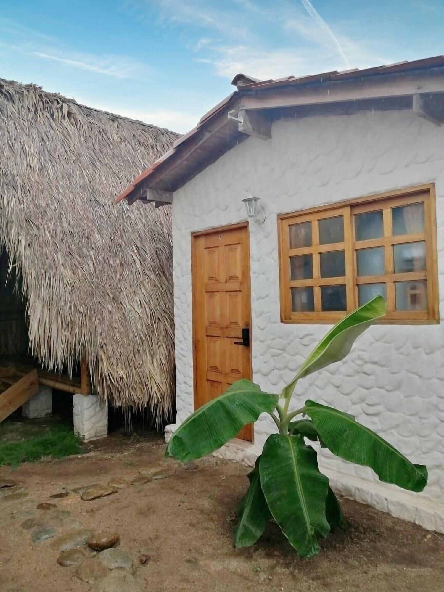 Habitación Palomino Sunrise