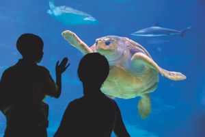 Actividad - Philadelphia CityPASS