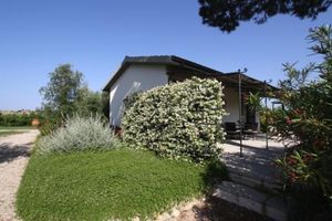 Alojamiento - Agriturismo Peretti