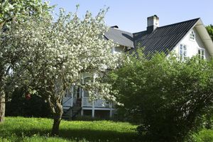 Alojamiento - Three Pheasants Boutique B&B