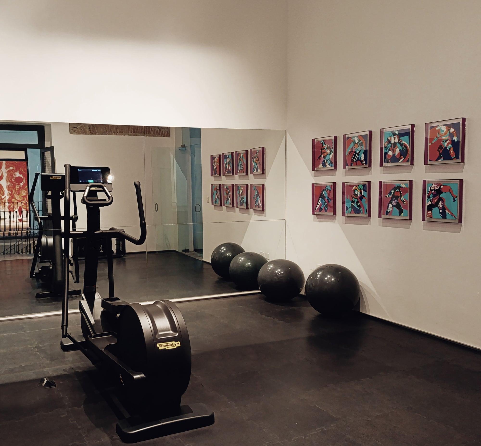 Gimnasio Palacio Julio Hotel