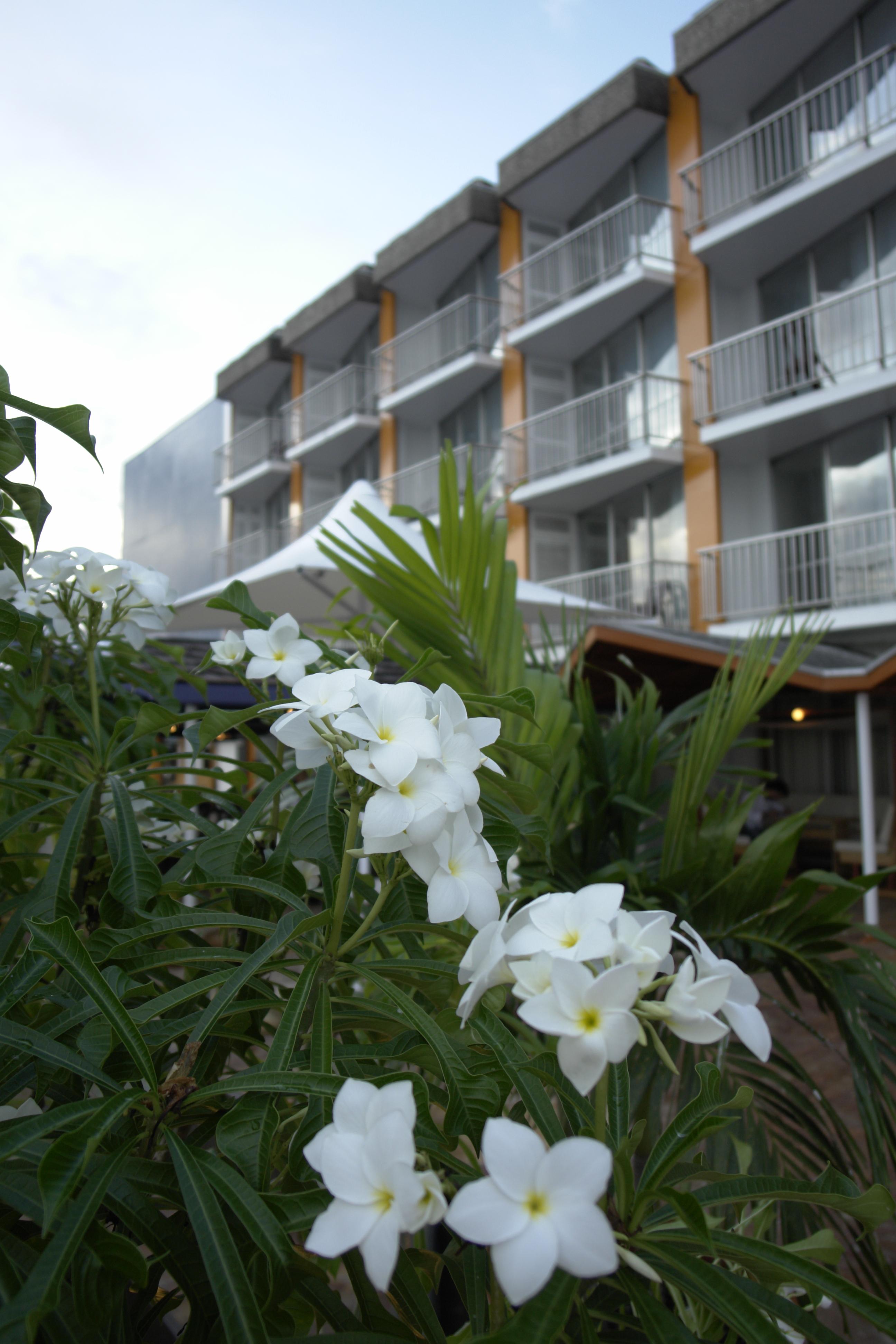 Vista Exterior Radisson Hotel Paramaribo