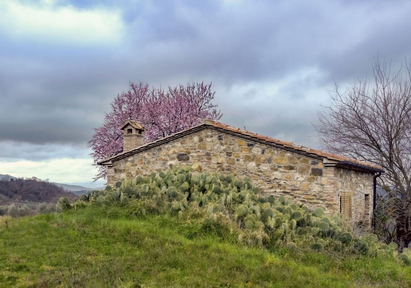 Comodidades del Alojamiento Agriturismo Le Canterie
