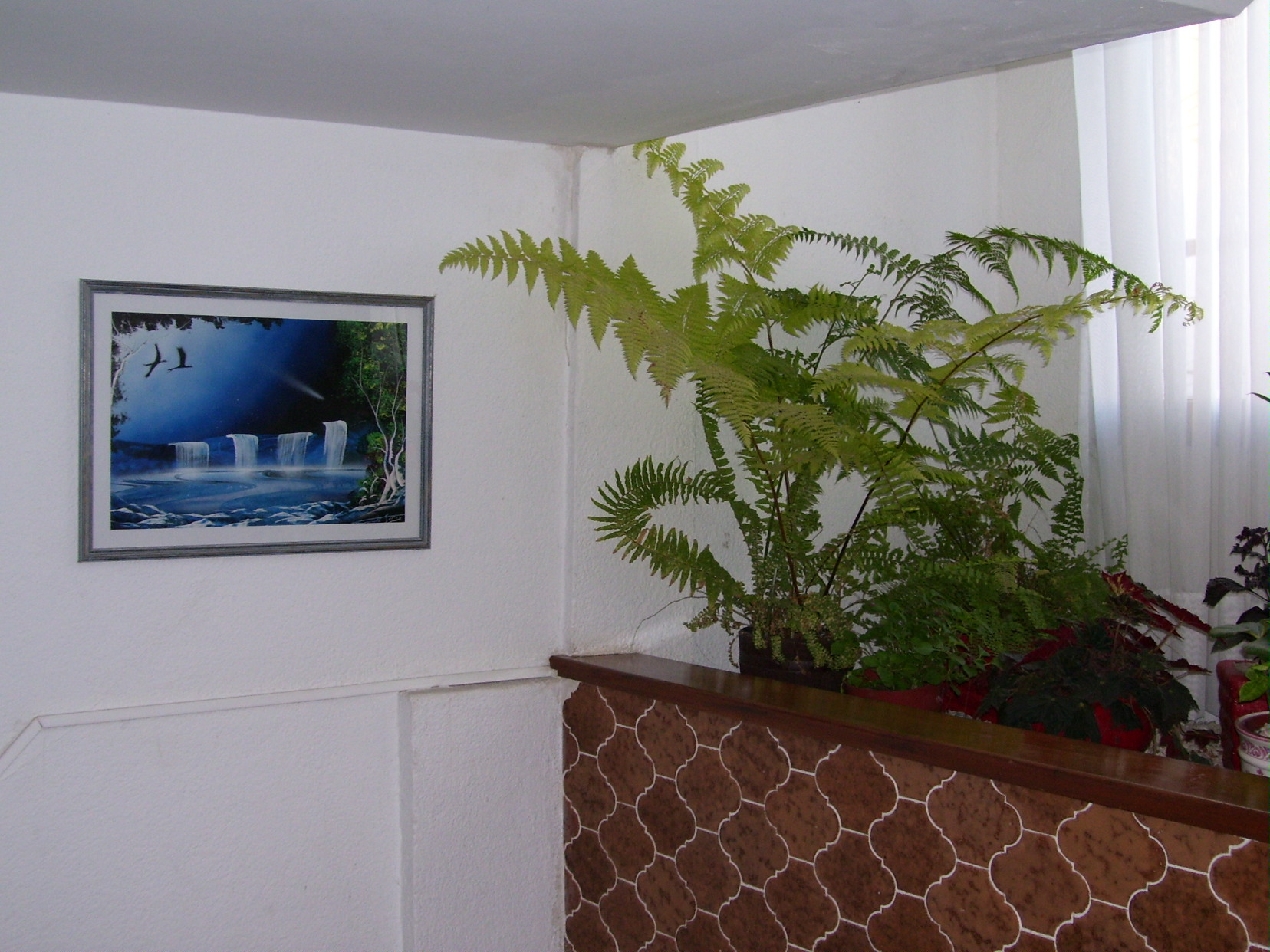 Hotel Hotel San Francisco