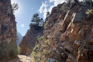 Alquiler Vacacional - 6bd Retreat: Games - Gym - Parks - Colorado Serenity