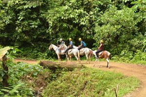 Actividad - Paseos a caballo desde Jacó