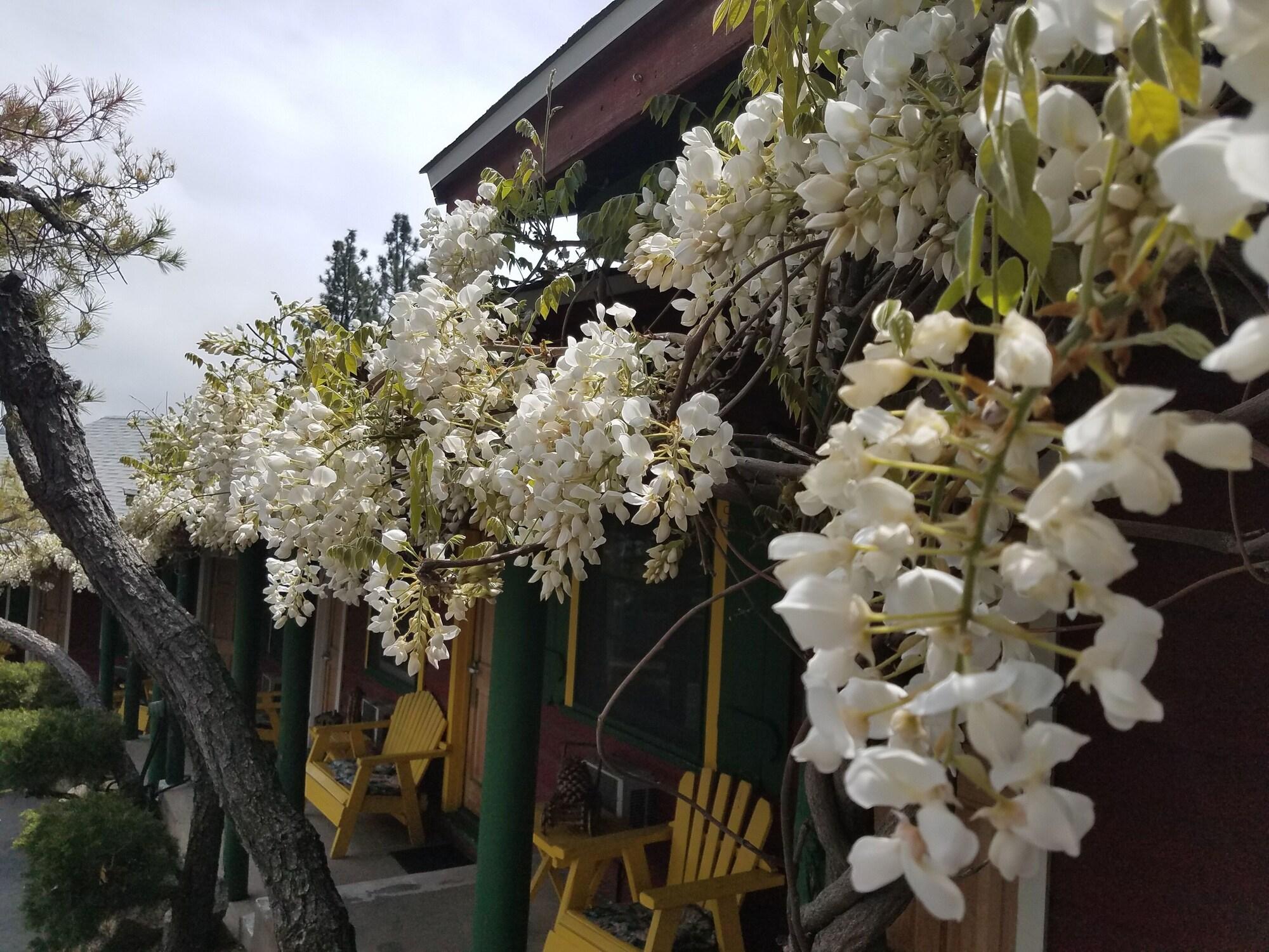 Comodidades del Alojamiento Idyllwild Bunkhouse