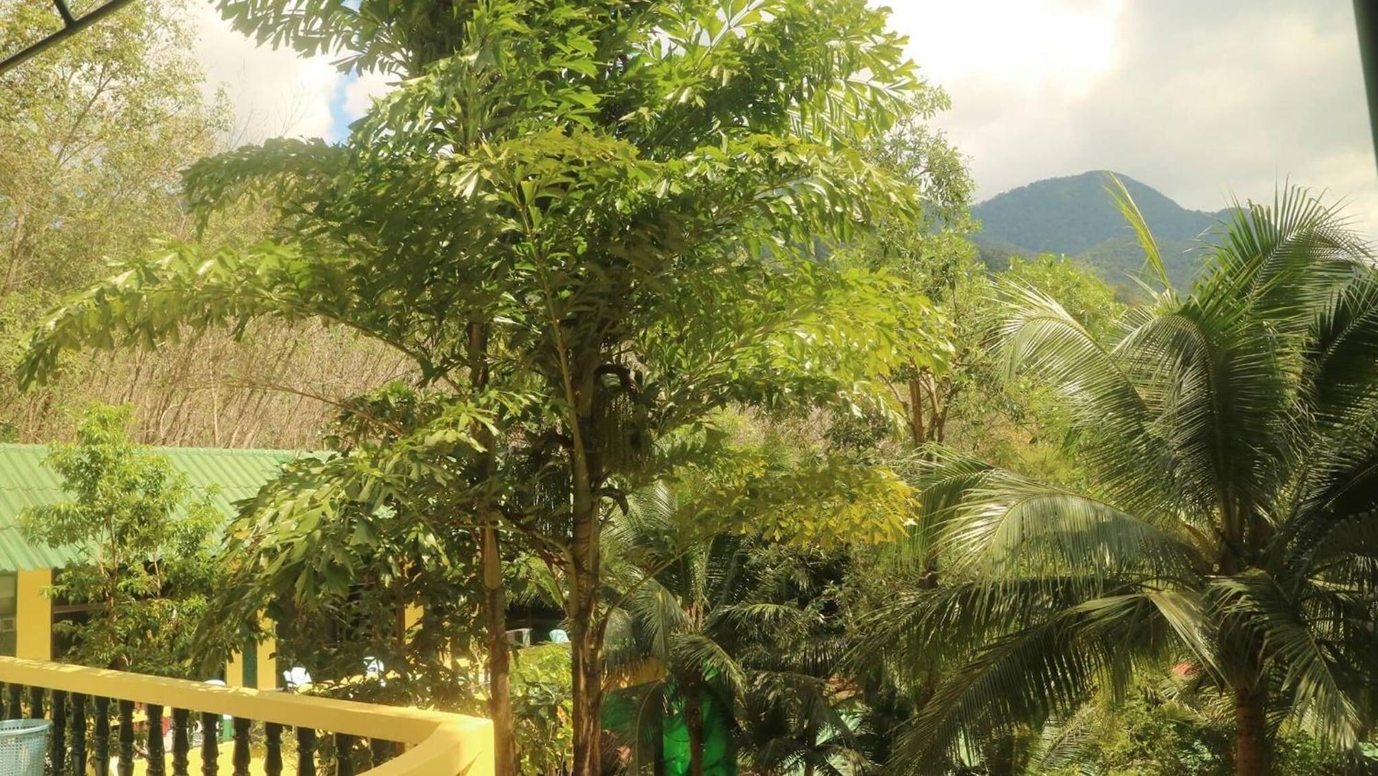 Comodidades del Alojamiento Island Lodge
