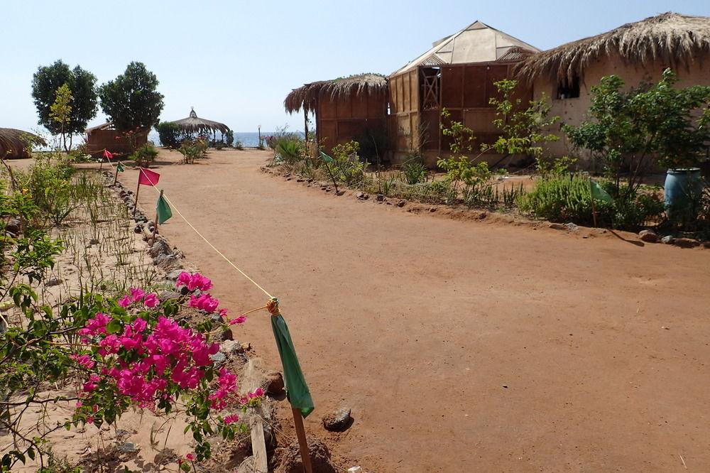Vista Lobby Bedouin Star