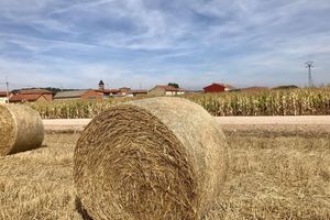 Alojamiento - B&B Puente de Órbigo