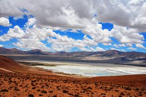 Actividad - Salar del Huasco Parque Nacional