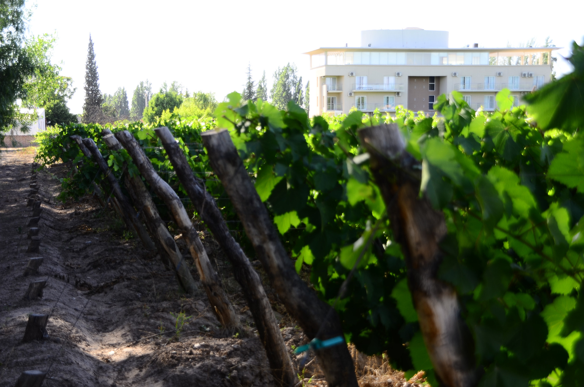 Vista Exterior Hotel Finca Hermitage